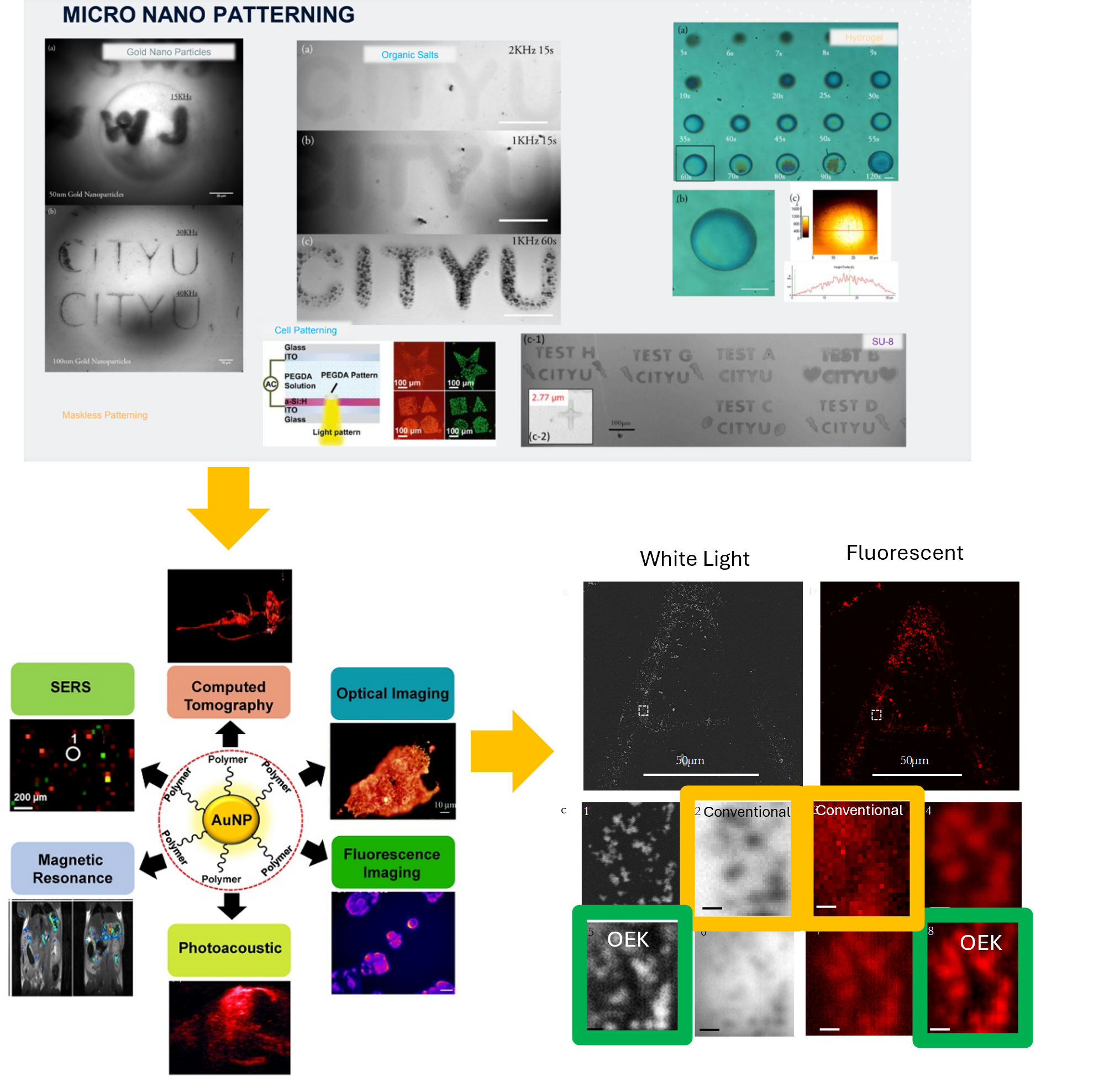 Gold Nanoparticle Applications